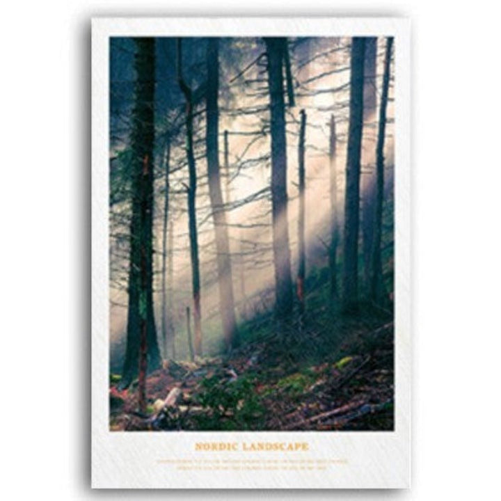Nordic Scandinavia Natural Forest Sunshine Scene Printing | Bowlift