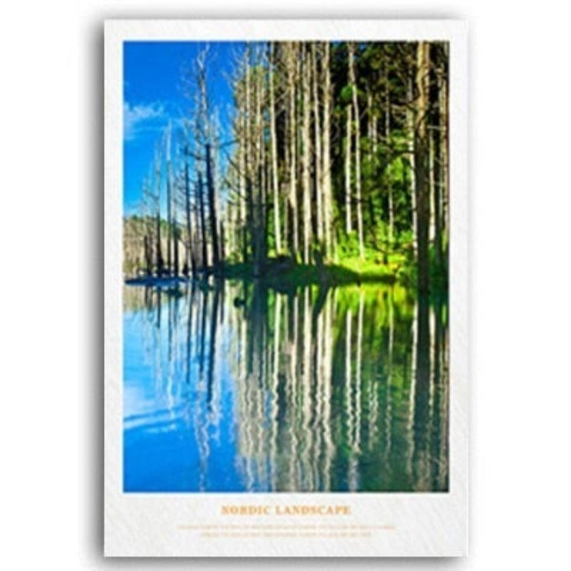 Nordic Scandinavia Natural Forest Sunshine Scene Printing | Bowlift