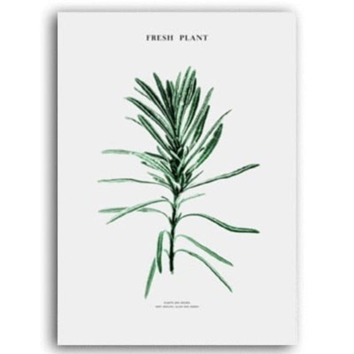 Scandinavia Cactus - Canvas Wall Art Painting | Bowlift