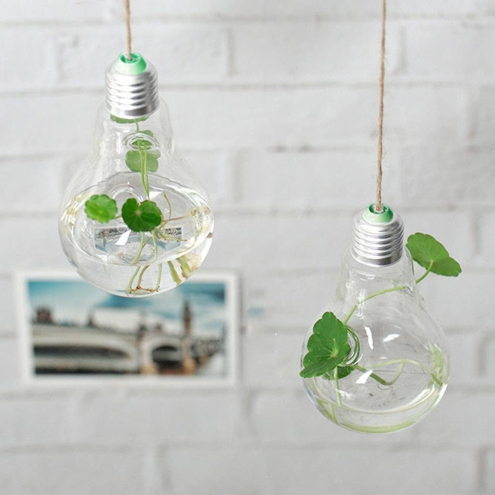 BowLift | Hanging Glass Light Bulb Lamp Shape Flower Water Plant
