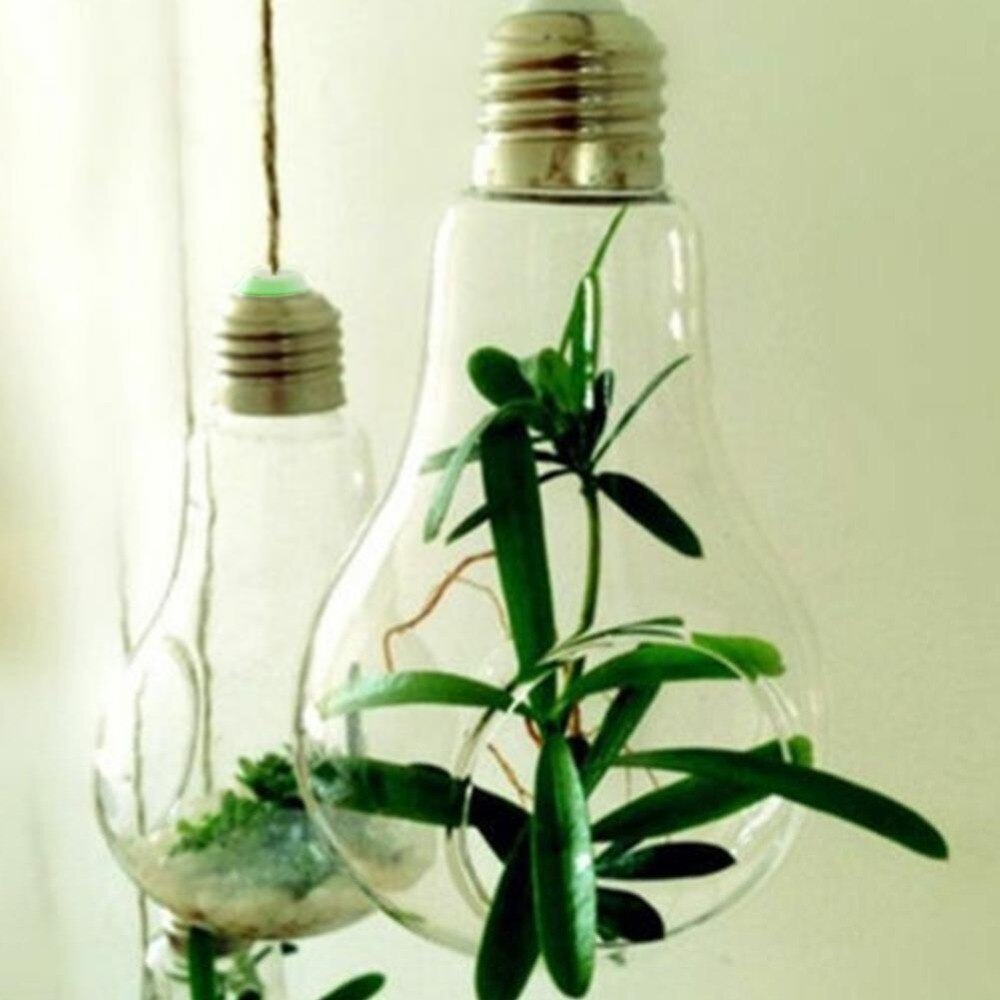 BowLift | Hanging Glass Light Bulb Lamp Shape Flower Water Plant