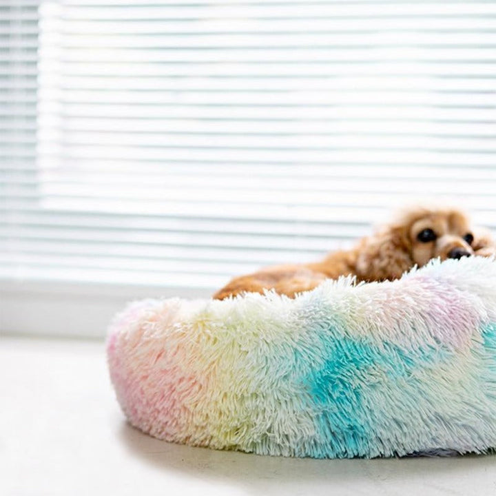 BowLift | Beef Rainbow Extra Plush Calming Donut Dog Beds