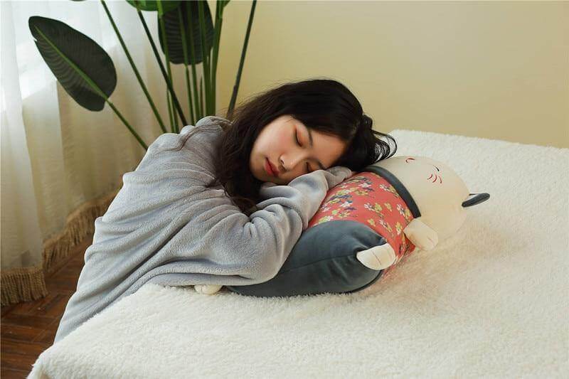 Japanese Style Cute Luck Pillow | Bowlift