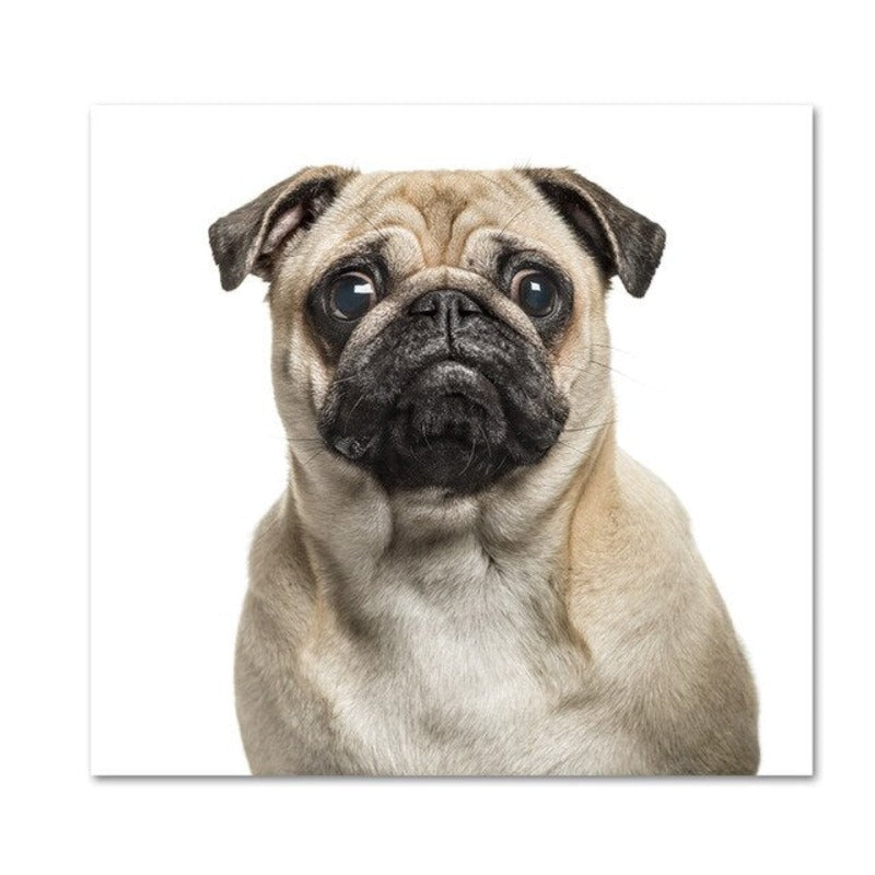 Modern Dog Posters and Prints - Canvas Wall Art Painting | Bowlift