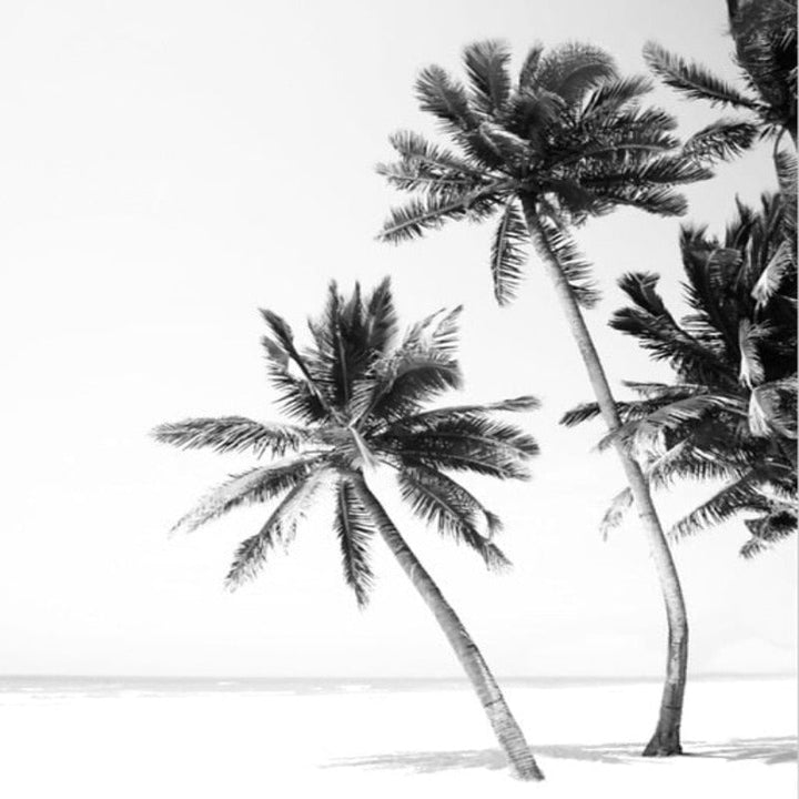 Modern Palm Coconut Tree Prints Black - Canvas Wall Art Painting | Bowlift