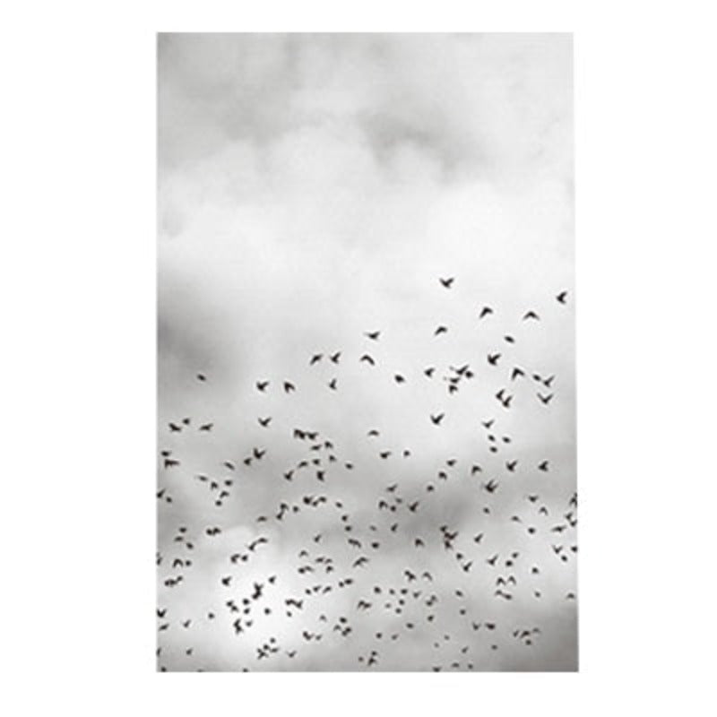 Grey Dandelion Sky Scene Life Quotes  - Canvas Wall Art Painting | Bowlift