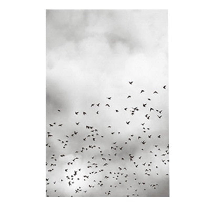 Grey Dandelion Sky Scene Life Quotes  - Canvas Wall Art Painting | Bowlift