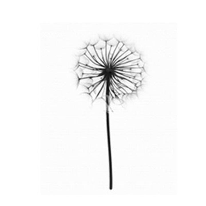 Grey Dandelion Sky Scene Life Quotes  - Canvas Wall Art Painting | Bowlift