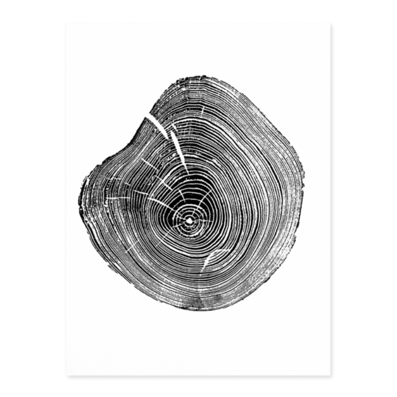 Tree Annual Rings Black and White - Canvas Wall Art Painting | Bowlift