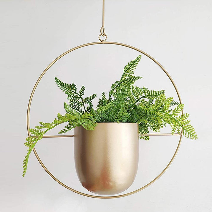 HaloRing Hanging Plant Holder – Metal Hanging Planter for Indoor and Outdoor | Bowlift