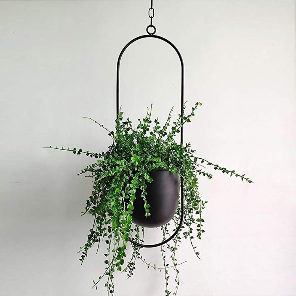 HaloRing Hanging Plant Holder – Metal Hanging Planter for Indoor and Outdoor | Bowlift