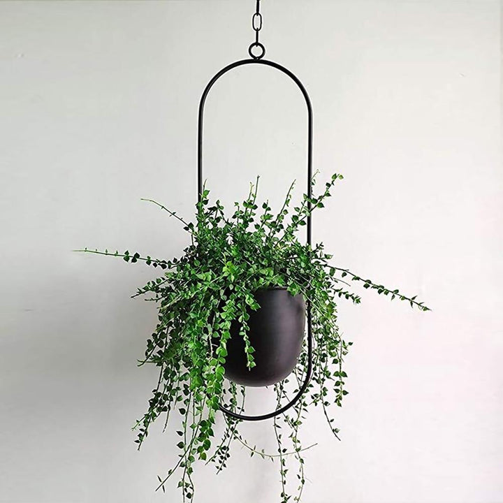 HaloRing Hanging Plant Holder – Metal Hanging Planter for Indoor and Outdoor | Bowlift
