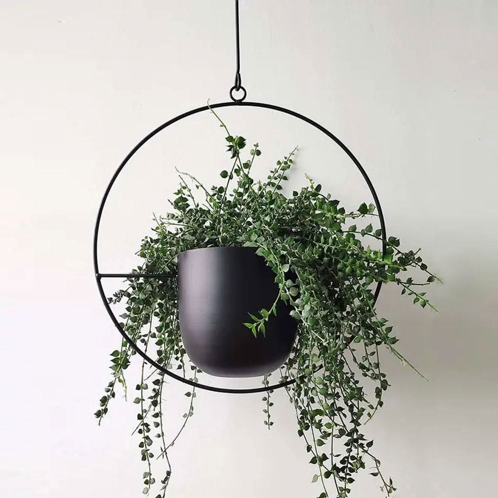 BowLift | Wall Hanging Metal Plant Holder – FloraFrame