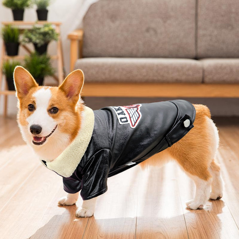 BowLift | Cool Cute Leather Pet Jacket
