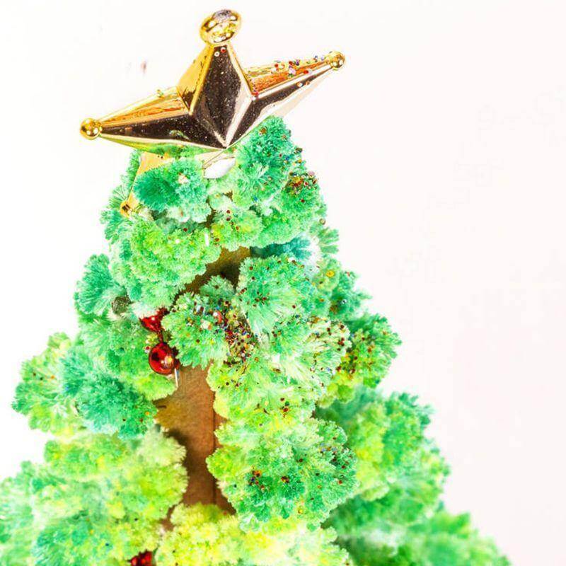 BowLift | DIY Magic Growing Christmas Tree
