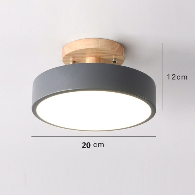 Colorful Nordic LED Ceiling Lamp | Bowlift
