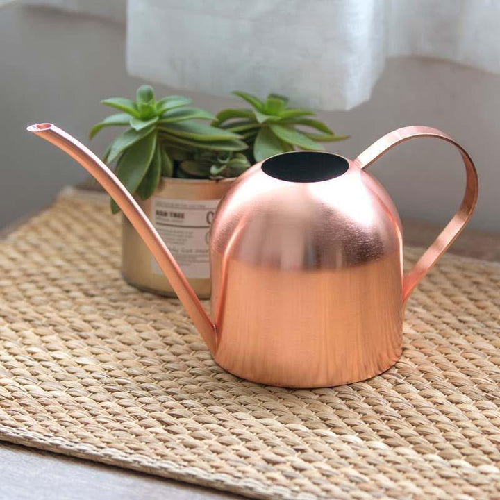 BowLift | Stainless Steel Watering Can with Flexible Neck | Modern Design | Perfect Watering | Rustproof