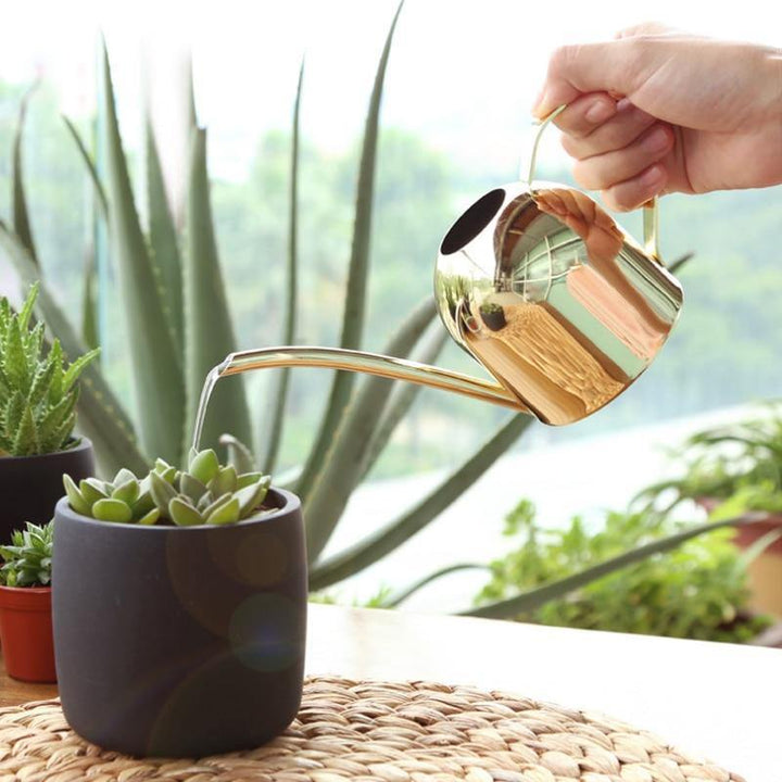 BowLift | AquaGrace Stainless Steel Watering Can with Flexible Neck | Modern Design | Perfect Watering | Rustproof