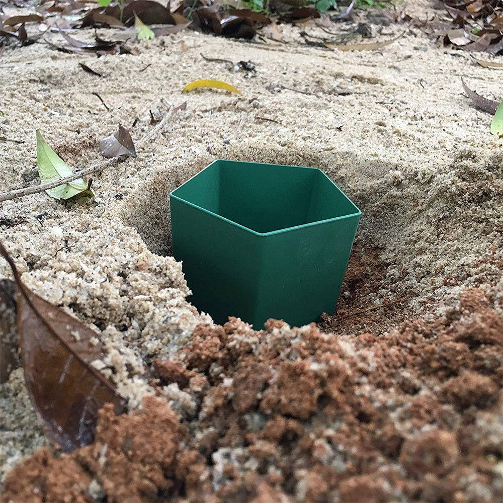 Eco-Friendly Farm Protector Insect Trap Box | Bowlift