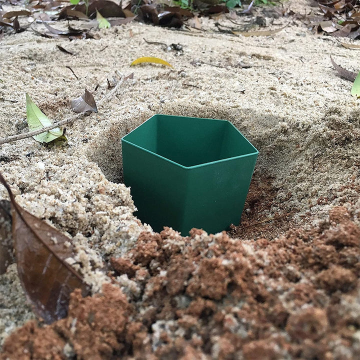 Eco-Friendly Farm Protector Insect Trap Box | Bowlift