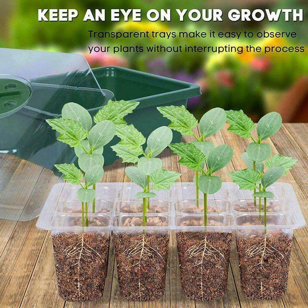 Adjustable 12 Seedling Planting Box | Bowlift
