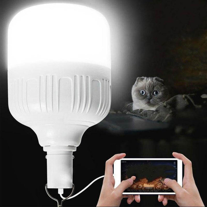 Outdoor USB Rechargeable LED Night Light Bulb | Bowlift