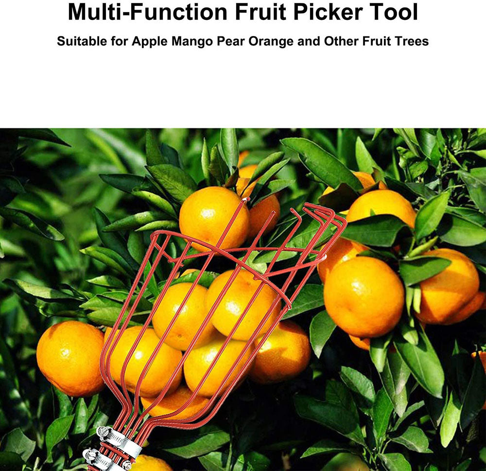 High Branch Fruit Picker | Bowlift
