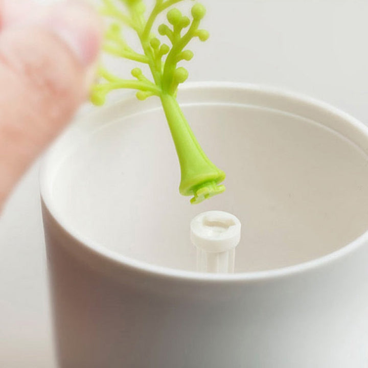 Creative Mini Decorative Toothpick Storage Box | Bowlift