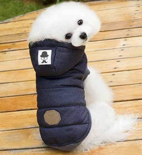 BowLift | Cute Winter Pet Coat for Cat and Dogs