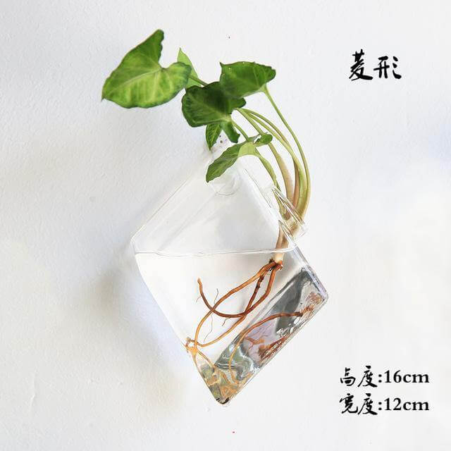 BowLift | Handmade  New Hexagonal  Wall Clear Terrarium Vase