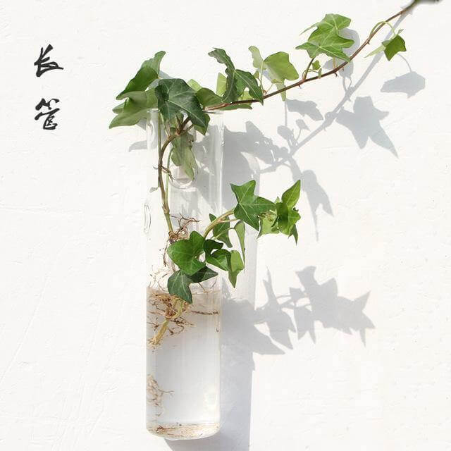 BowLift | Handmade  New Hexagonal  Wall Clear Terrarium Vase