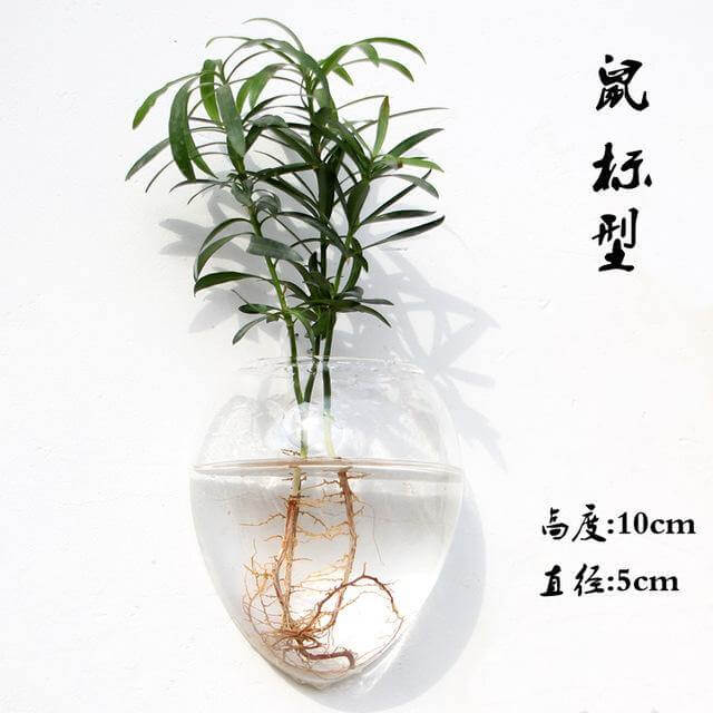 BowLift | Handmade  New Hexagonal  Wall Clear Terrarium Vase