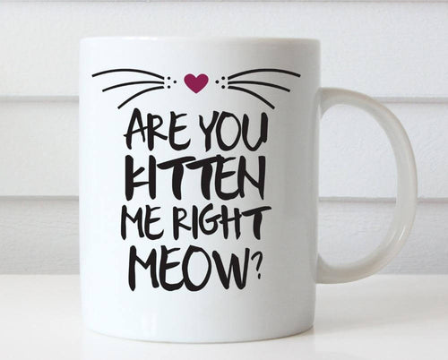 BowLift | Are you kitten me right now Ceramic Mug