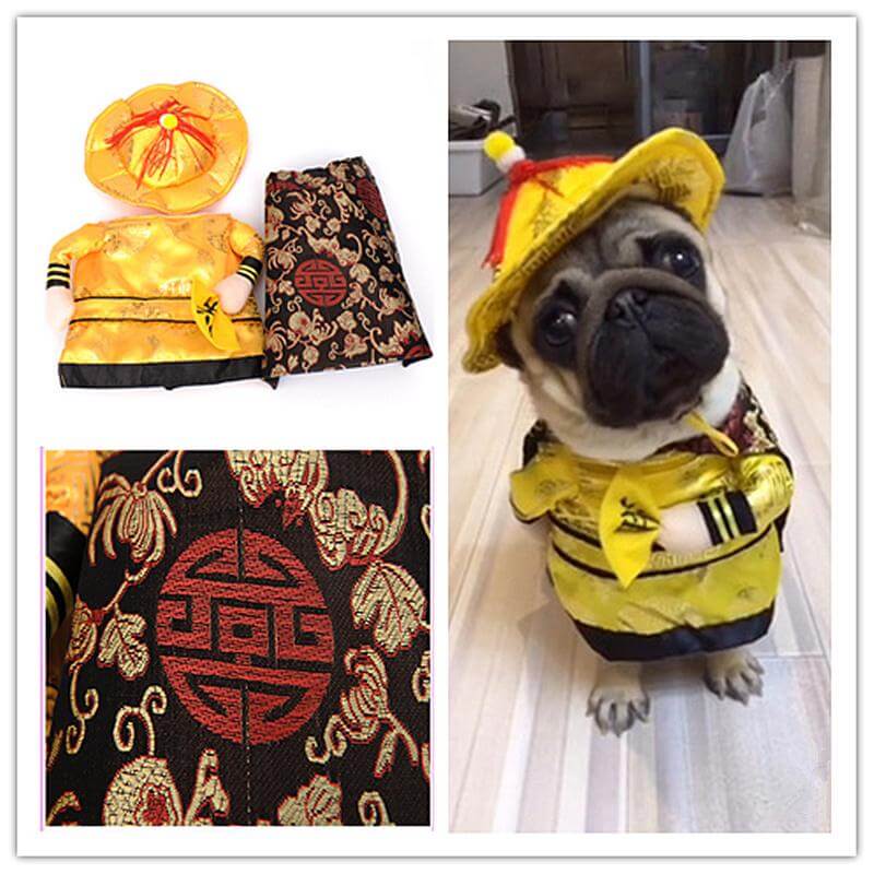 BowLift | Golden King Empire Cosplay Pet Costumes