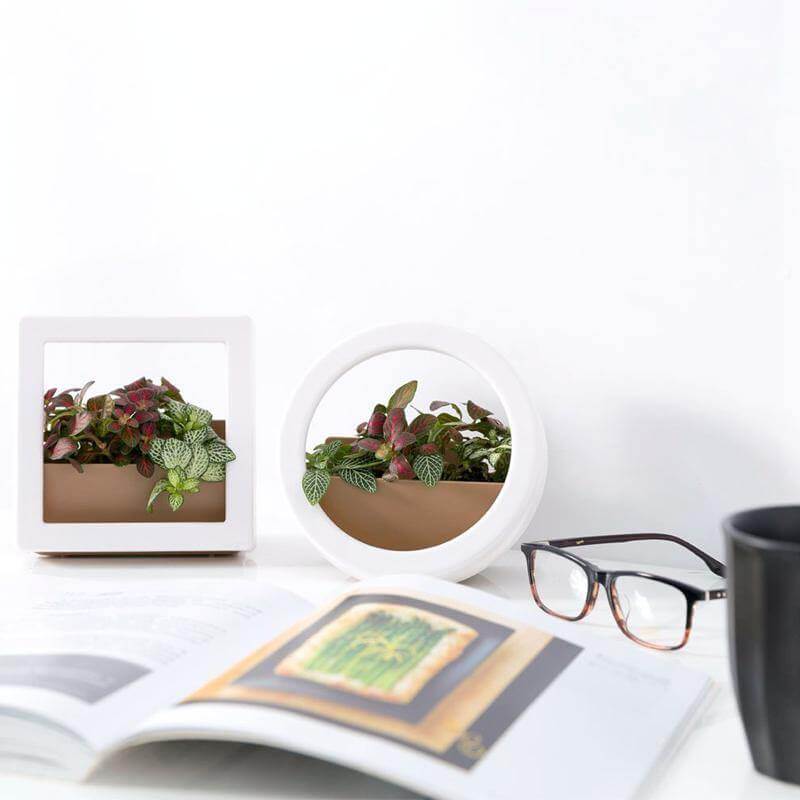 BowLift | 2 Pcs/Lot Wall Hanging Plant Pot