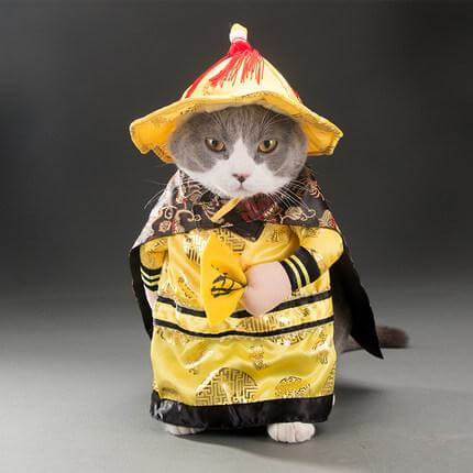 BowLift | Golden King Empire Cosplay Pet Costumes
