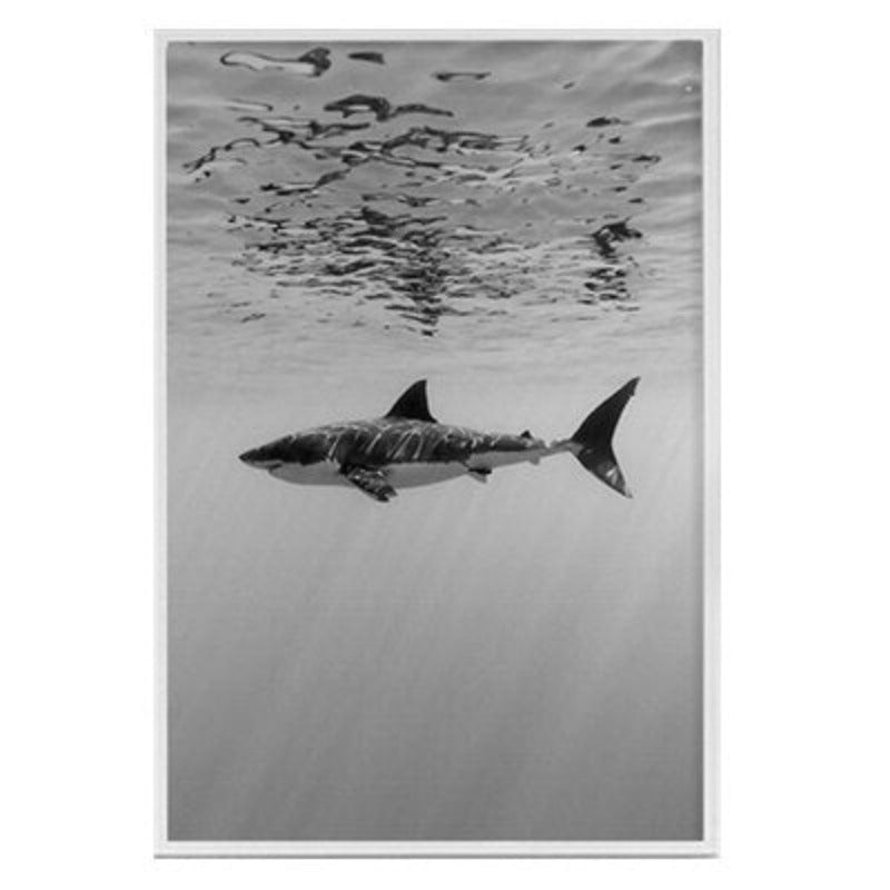 Shark Cactus - Canvas Wall Art Painting | Bowlift