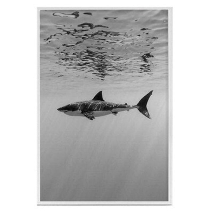 Shark Cactus - Canvas Wall Art Painting | Bowlift
