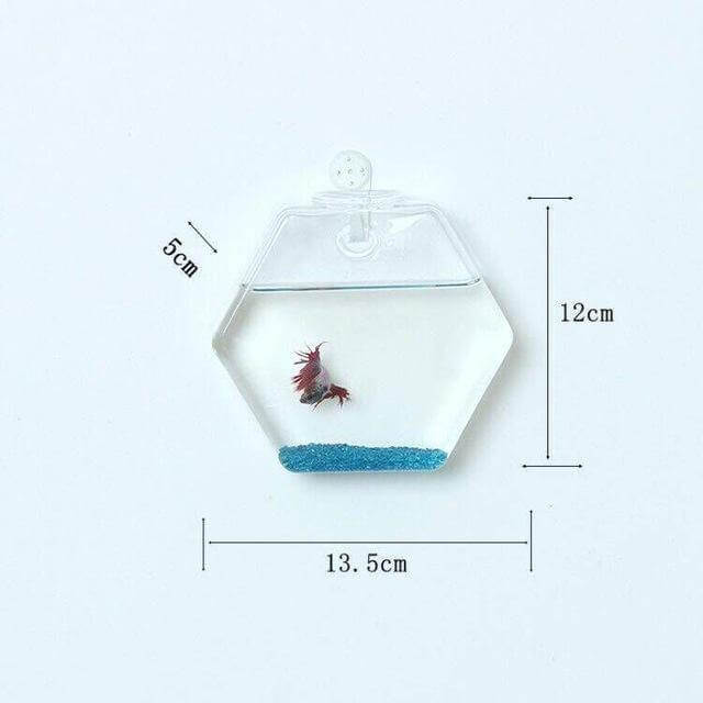 BowLift | Handmade  New Hexagonal  Wall Clear Terrarium Vase