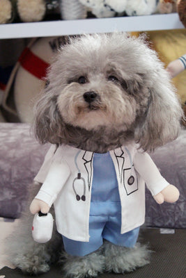 BowLift | Policeman Dog Costume