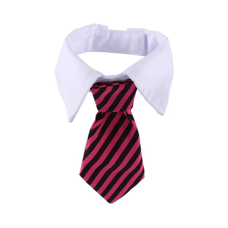 Sugar & Cotton's Famous Pet Neckties | Bowlift