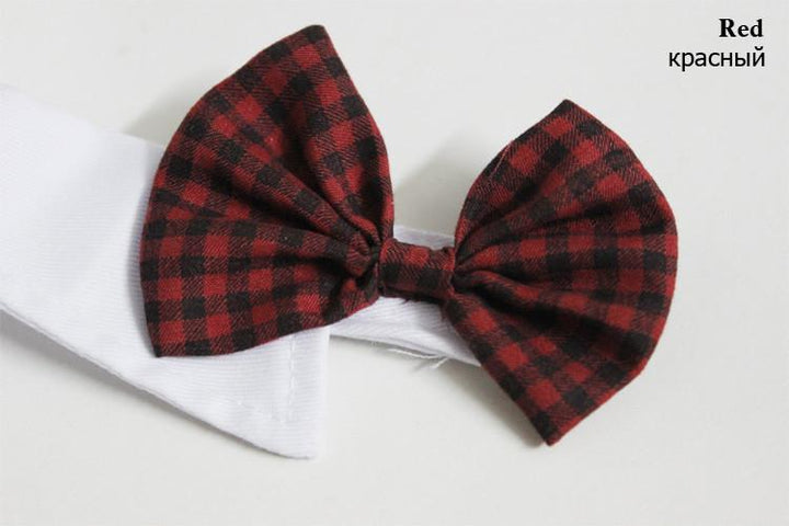 Dapper Pet Bow-Ties - For Cats & Dogs | Bowlift