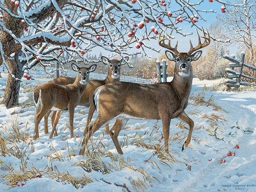 Snowfall on Reindeer - GemPaint Kit | Bowlift