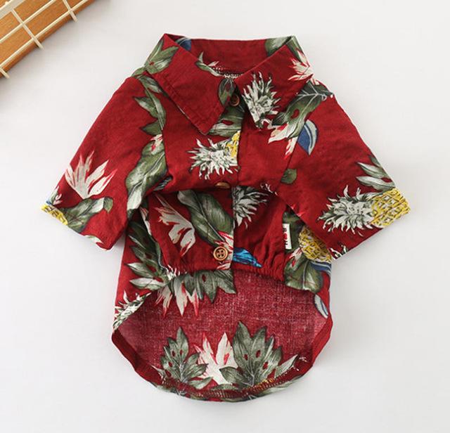 Frenchie  Summer Shirt | Bowlift