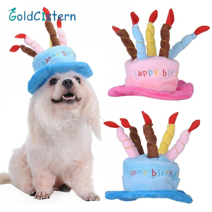 Pet Birthday Hat – PartyPaws Bowlift