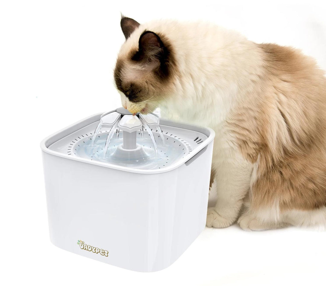 AutoDrinker - Pet Water Fountain | Bowlift