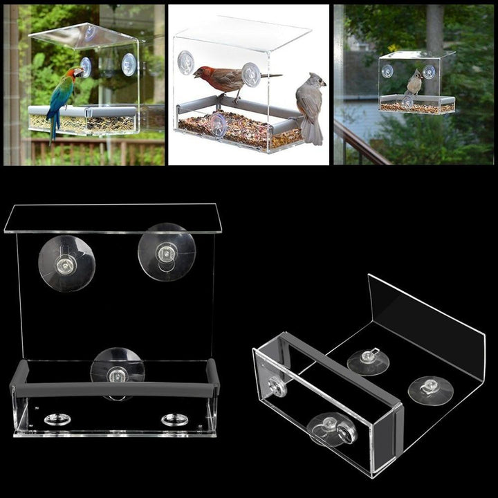 BowLift | Solar Window Bird Feeder