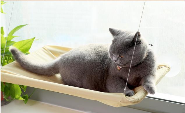 Otis - Window Hammock Hanging Shelf Cat Bed | Bowlift