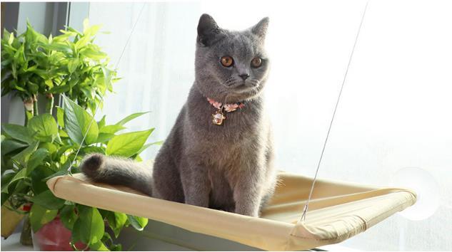 Otis - Window Hammock Hanging Shelf Cat Bed | Bowlift