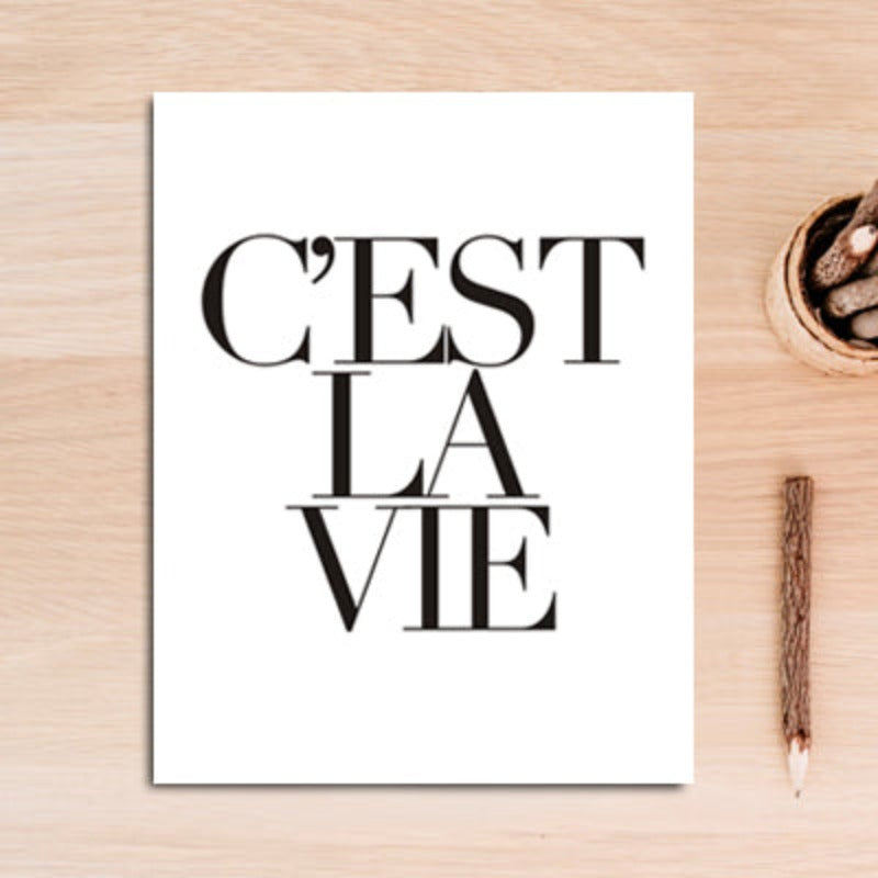 C'est La Vie - Canvas Wall Art Painting | Bowlift